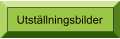 Bilder Utställningsbilder