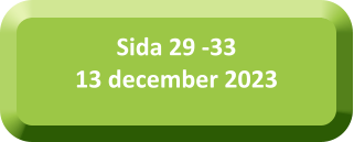 Sida 29 -3313 december 2023